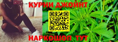 spice Новозыбков
