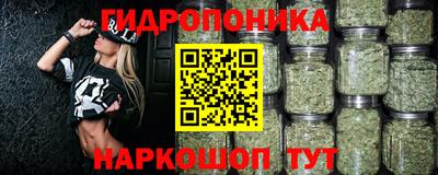 МДПВ Новодвинск