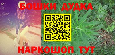 МДПВ Новодвинск