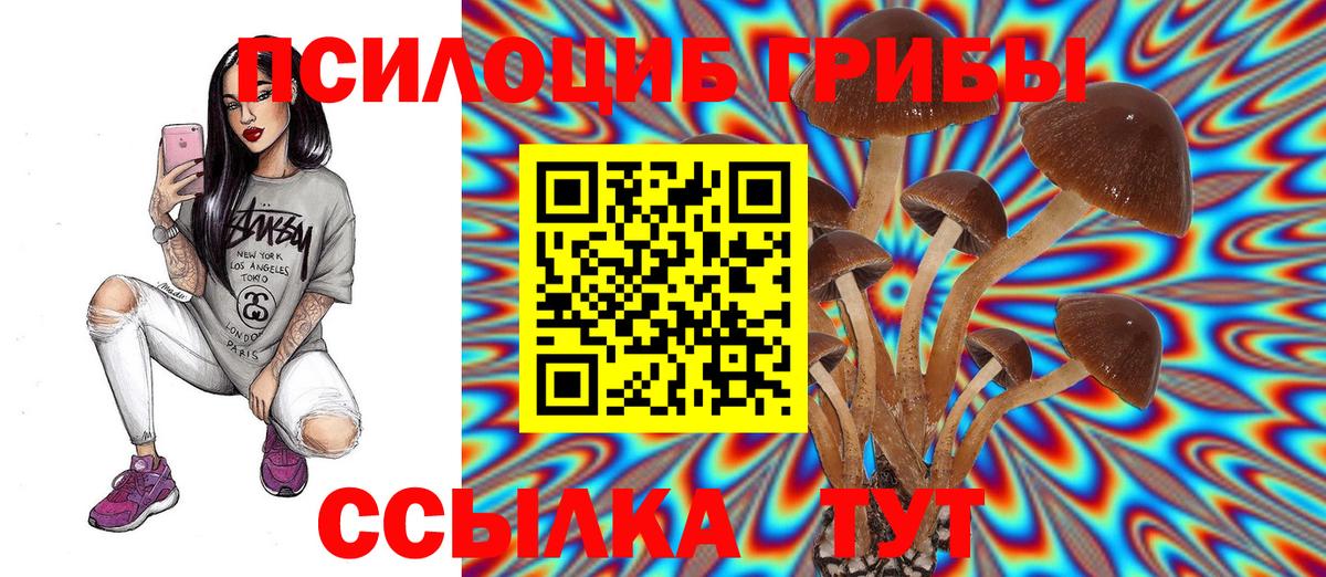 Псилоцибиновые грибы ЛСД  Псилоцибиновые грибы мухоморы  Сафоново  Вход с VPN 