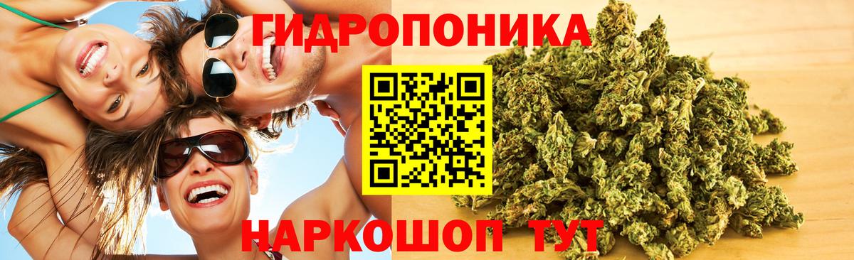 Марихуана OG Kush  Канабис семена  Марихуана THC 21%  Сафоново  Вход с VPN 
